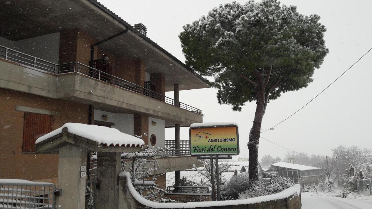 Villa Fiori Del Conero Ancona Exterior foto