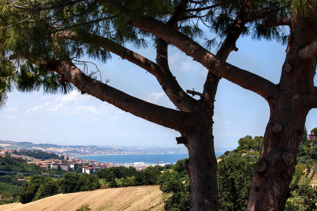 Villa Fiori Del Conero Ancona Zimmer foto