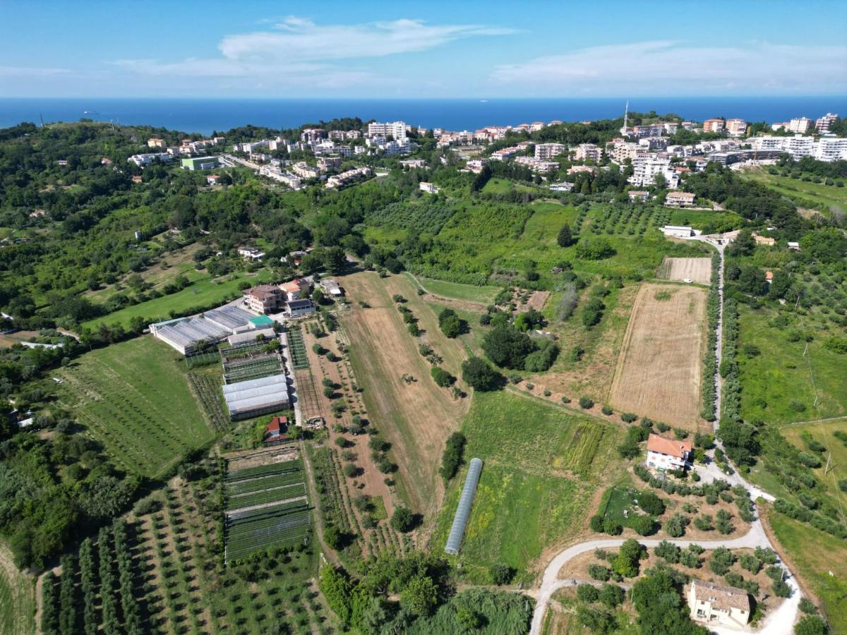 Villa Fiori Del Conero Ancona Exterior foto